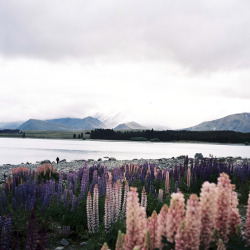 hiromitsu: Lake Tekapo by deco_o on Flickr. 