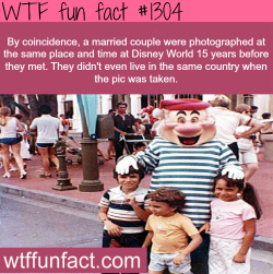 wtf-fun-factss:  disney facts By coincidence, a married couple