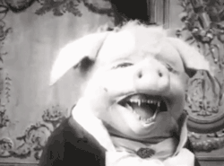 odditiesoflife:  The Dancing Pig Le Cochon Danseur (“The Dancing