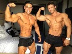 warriormale:  Men who are into Men are Manly and seek out Manliness