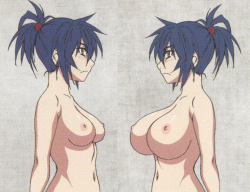 breastsunited:  Comparison of Chifusa before she started stealing