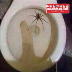 martyqlpesao:  mami ya mate la araña que había   