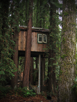 eartheld:  treehauslove:  Meditation Treehouse. A great meditation