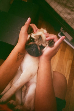 amy-burgham:  I FOLLOW BACK 
