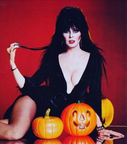 therealelvira:  Promo pic for #moviemacabre, October 1982! 🎃🎃