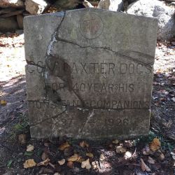 foreverenroute:  Maine Governor Baxter’s pet cemetery. 
