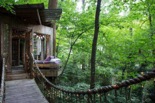 frommoon2moon:  Moon to Moon: Tour of Dreamy secluded Tree house 