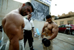 oxyparis:  Iraki bodybuilders 