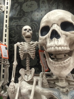 grawly:  dunesand:  skeleton dad and son enjoy a humerus joke