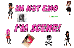 𝑮.