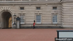 aidn:  breakingnews:  Buckingham Palace guardsman under investigation