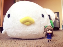 o-h-k-a-y:  Kotori and her “little” friend (• 8 •) Anybody