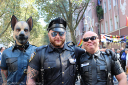 Leather Pups Unite!You can learn more about human pup play here: