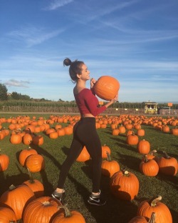 yogapantlouv:  Still Pumpkin Season?