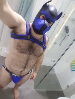 alphapupgadget:Woof!