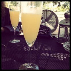 Brunch and mimosas with the fam. #sundayfunday #music #brunch