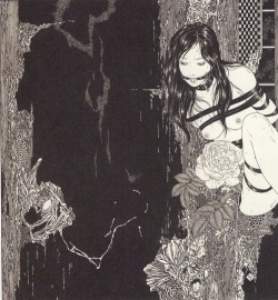 pericotera:  Takato Yamamoto