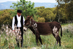 global-musings: A man and his donkey Location: Sardinia, Italy