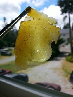 dewaxed:  More Hawaiian Punch 