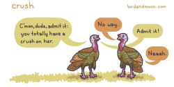 birdandmoon:  A new goofy thing about the wild turkeys I’ve