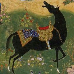 amphitriti:  HORSES in PERSIAN paintings 