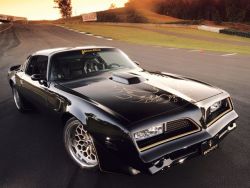 Muscle Cars HQ