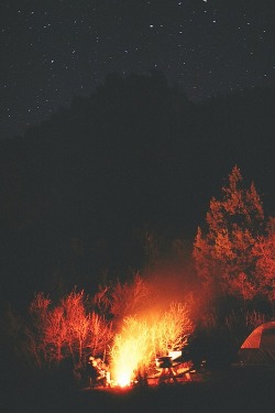 wolverxne:  untitled | by: [Holly Kerchner] - {Website}