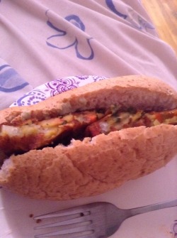 Best pre made veggie burger: vegetable masala