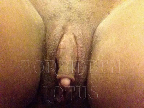 forbiddenlotus:  Looking for independent ladies to join the eXXXclusive forbidden lotus network. BE YOUR OWN BOSS, set your OWN schedule!! All the while getting paid!! Email forbiddenlotusproductions@yahoo.com for more information. And remember…BIG
