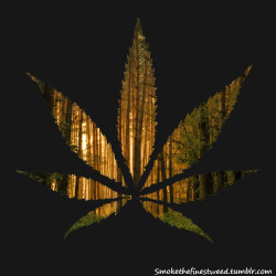 smokethefinestweed:  I made a cool looking pot leaf. I hope you