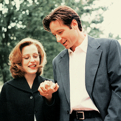 danakaterine:  “For me, The X-Files has always been a romance