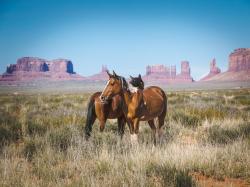 Monument Valley Horseback