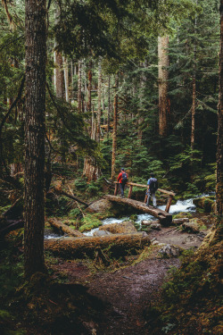 brianstowell: Hiking in Olympic National Park yesterday More