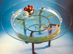 vuls:  Paula Sweet “Table with Water and Fish” 1981