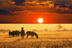 godotal:  This sunset in Nigeria that looks like two separate