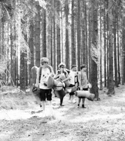 horands.tumblr.com/post/82886199448/