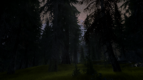 nordfjell:Forests of Falkreath.