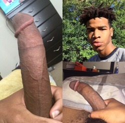 DVM Dicks