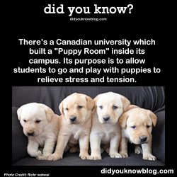 scrapes:  did-you-kno:  There’s a Canadian university which