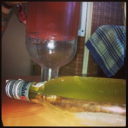 kairaanix:  #jelly #vodka turned out a bit thick. We need to