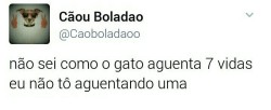 Meu lugar é aqui ✨