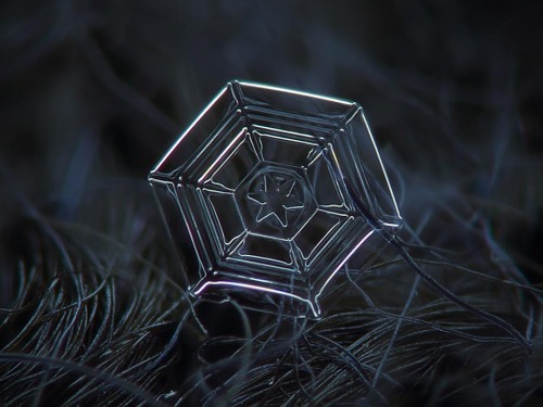 Fragile beauty