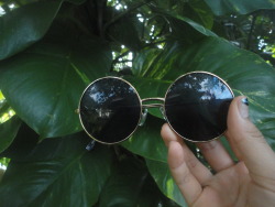 tropical-freesh:  the amount of pics i have of my glasses are