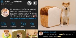 mightyfemme:  mustardtigress:  I love bread just as much as Daifuku!!