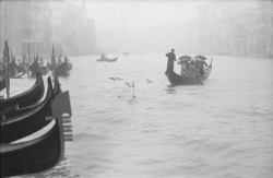adanvc:  Grand Canal, Venice, 1962. by Dmitri Kasterine