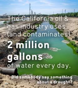 america-wakiewakie:  Californians Against Fracking Releases New
