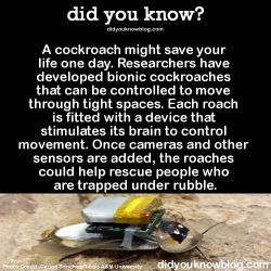 did-you-kno:   Why not use a regular robot? Because the instincts