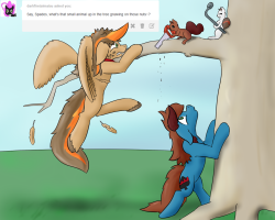 askspades:  SQUIRREL. Trouble doesn’t like squirrels. They