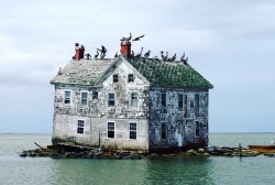 if-its-notlikethemovies:The last house on Holland Island - special