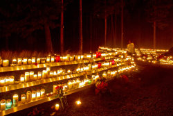 gothnrollx:  Candles for the souls by *attomanen